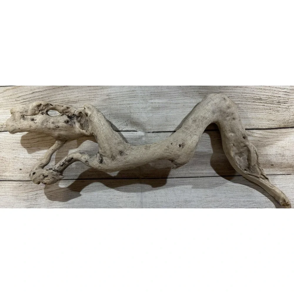 Vtg Piece of Driftwood that looks like a Dinosaur or Snake 17